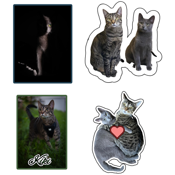 Custom Pet Sticker Set