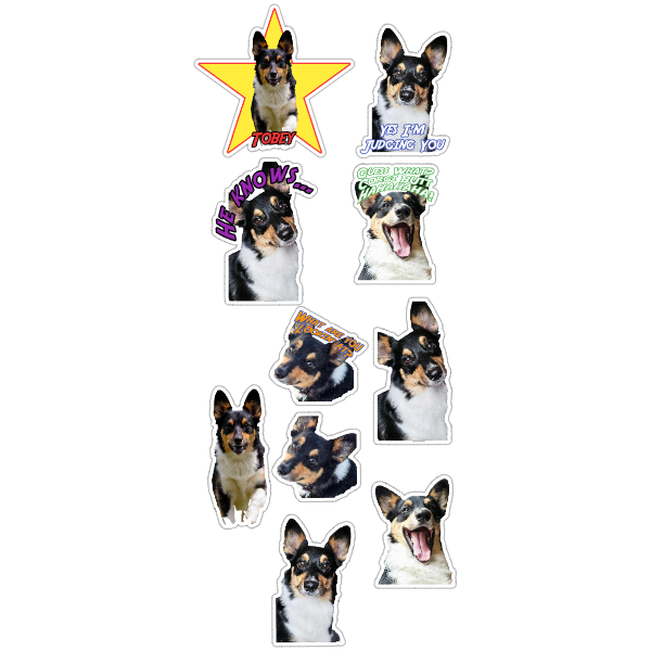 Custom Pet Sticker Set