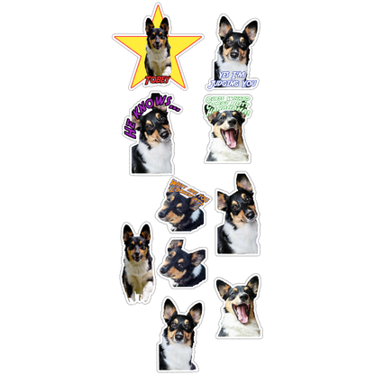 Custom Pet Sticker Set