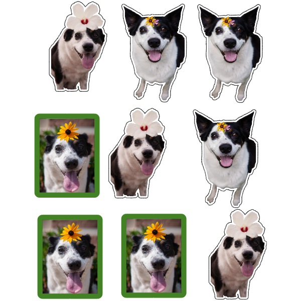 Custom Pet Sticker Set