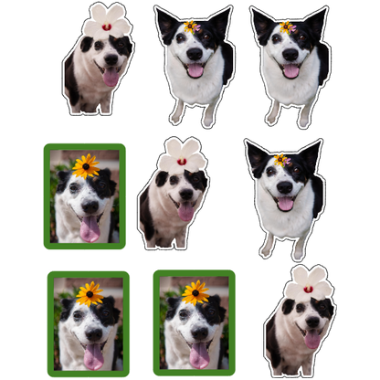 Custom Pet Sticker Set